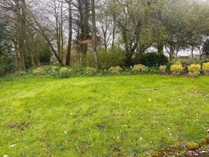 Photo 16- click for photo gallery